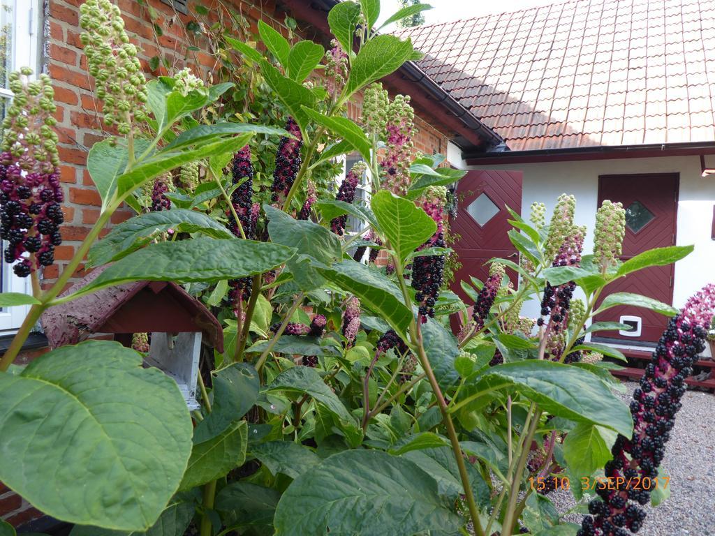 טרלבורג Akarpsvaegen Vacation Home מראה חיצוני תמונה